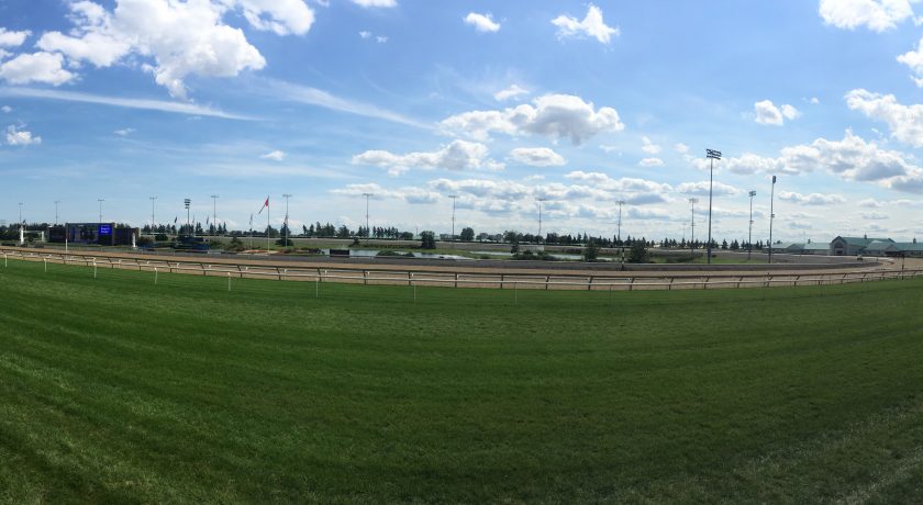 Woodbine Racetrack, wide green open field with light blue sky filled with clouds