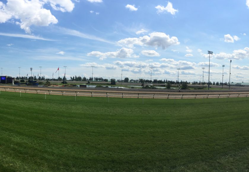 Woodbine Racetrack, wide green open field with light blue sky filled with clouds