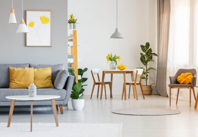 Open space living and dining room interior with gray sofa, wooden tables, white chairs and plants. Real photo